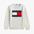 AM Kids - Felpa girocollo garzata Tommy Hilfiger