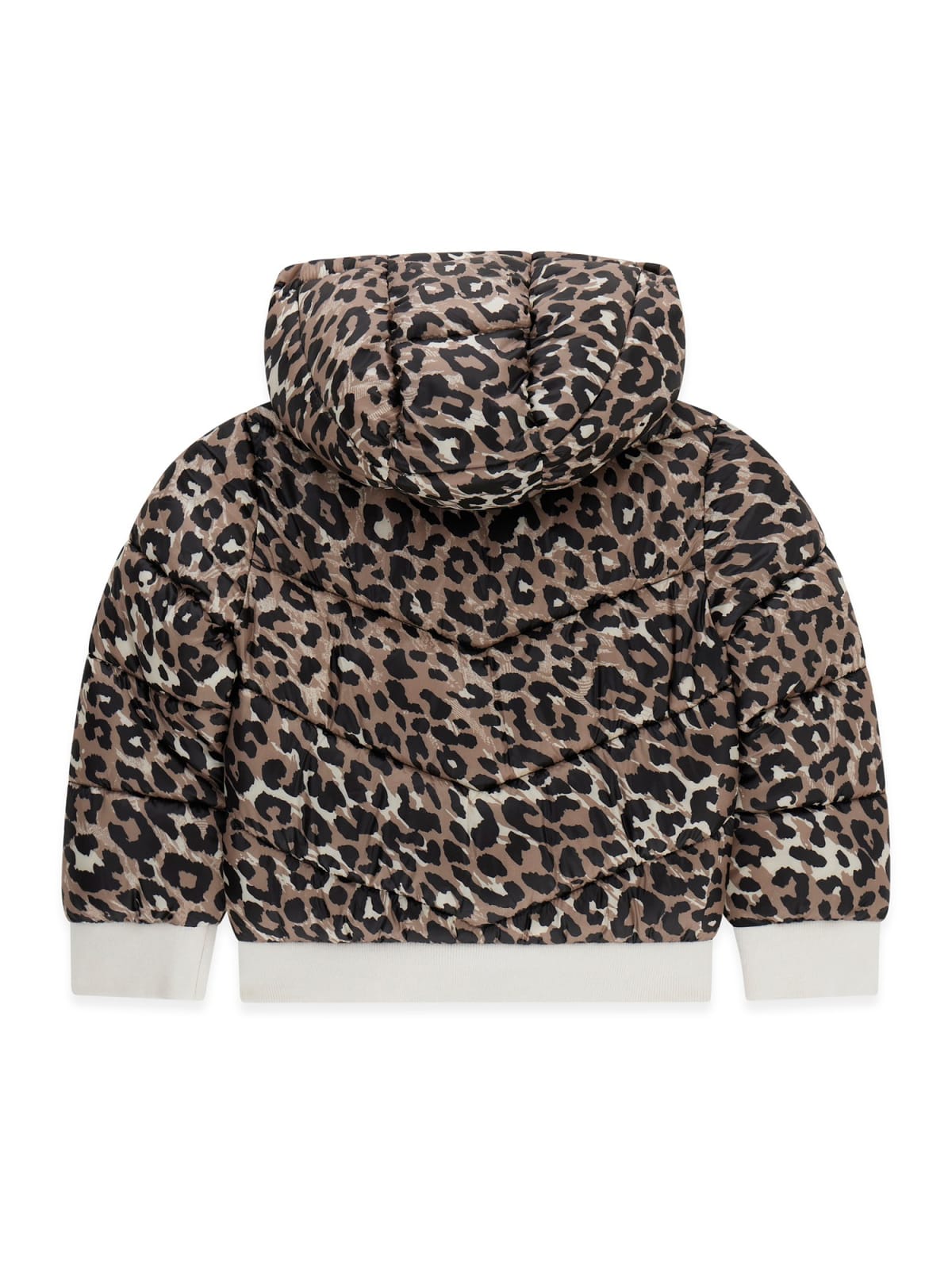 AM Kids - Giubbino imbottito leggero leopardato guess