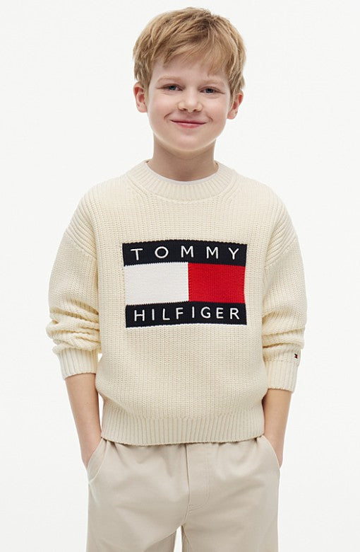 AM Kids - Pullover in maglia grossa con logo Tommy Hilfiger