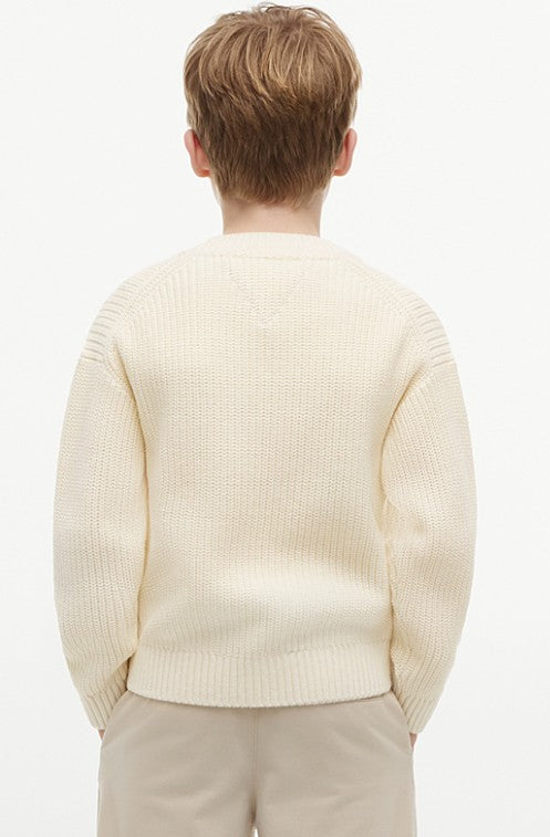 AM Kids - Pullover in maglia grossa con logo Tommy Hilfiger