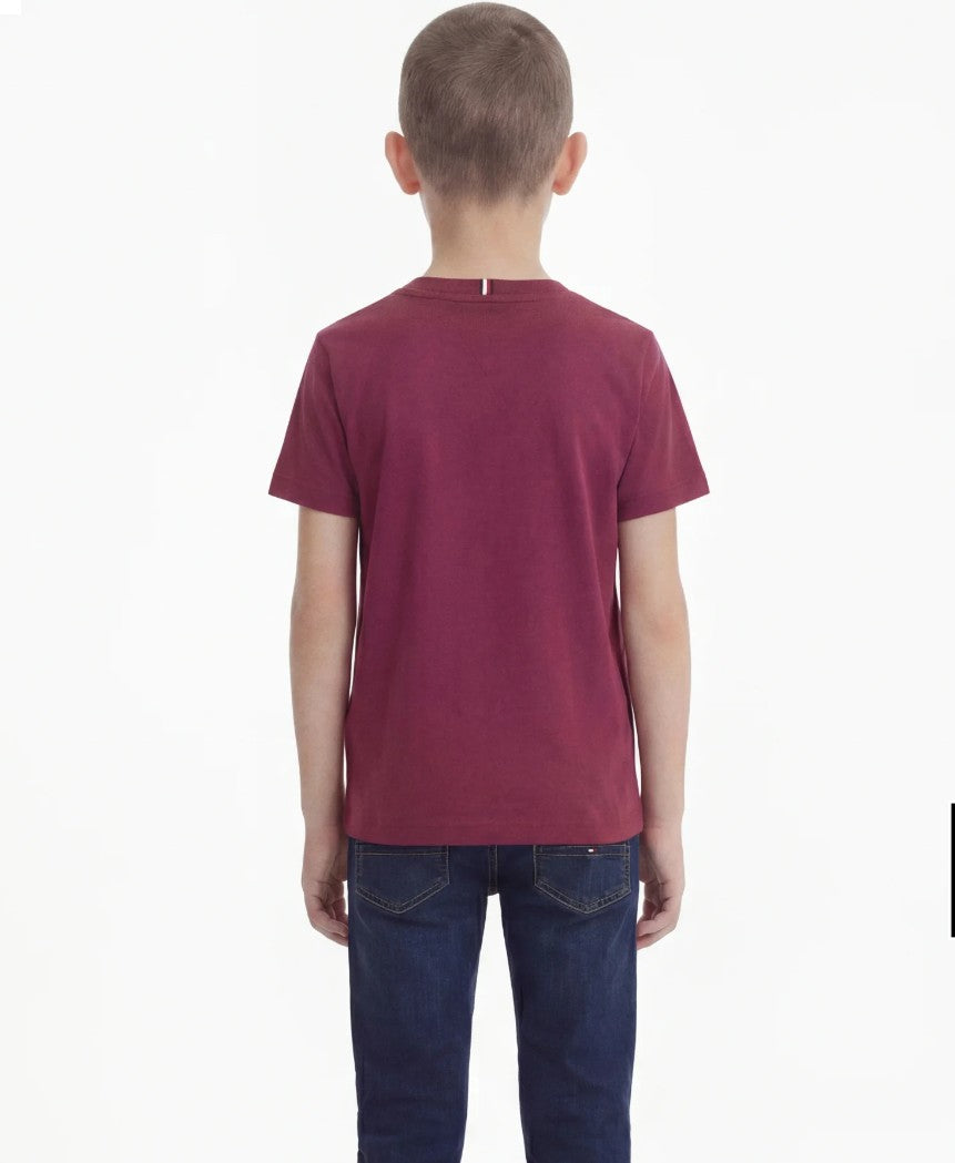 AM Kids - T-shirt in cotone Tommy